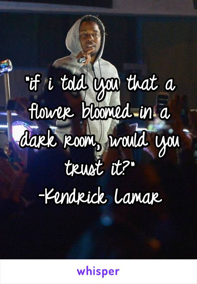 "if i told you that a flower bloomed in a dark room, would you trust it?"
-Kendrick Lamar