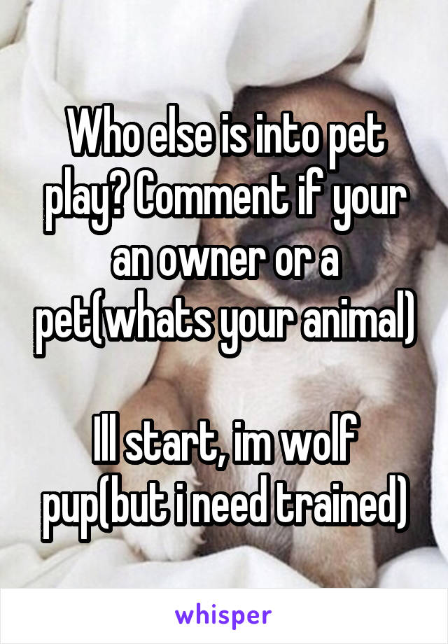 Who else is into pet play? Comment if your an owner or a pet(whats your animal)

Ill start, im wolf pup(but i need trained)