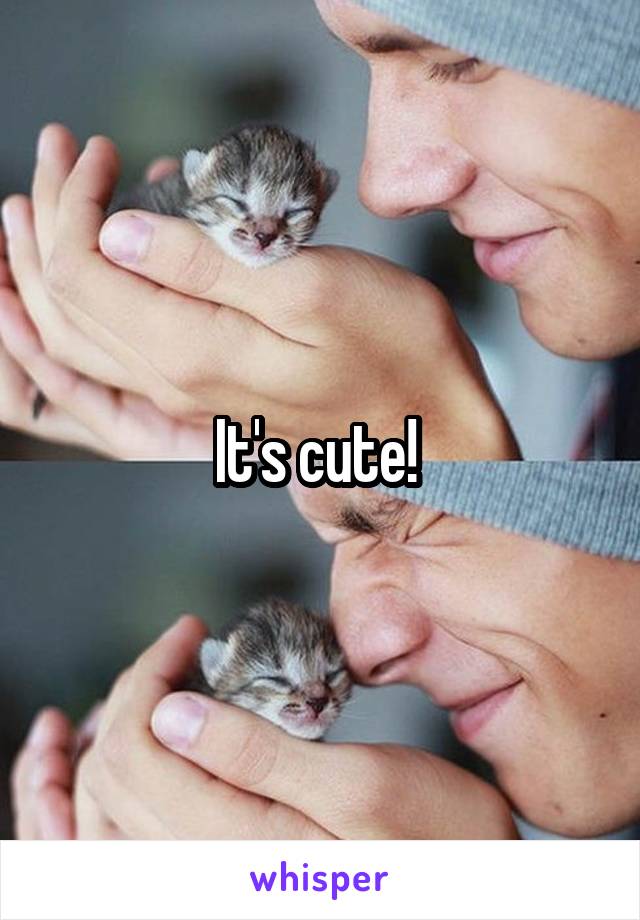 It's cute! 