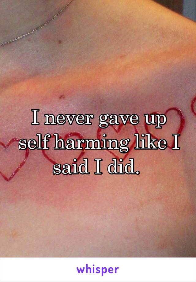 I never gave up self harming like I said I did. 