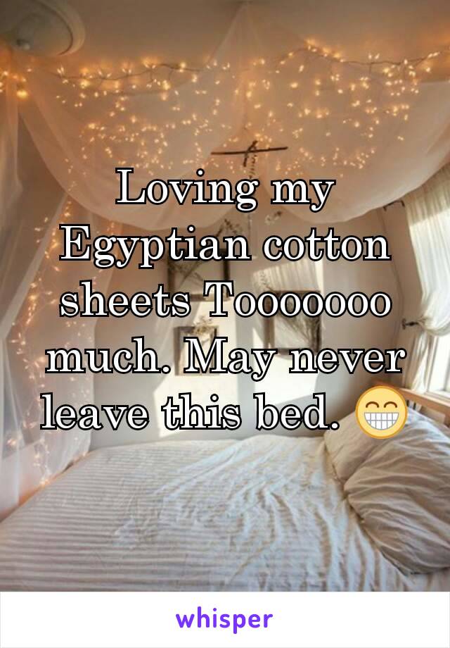 Loving my Egyptian cotton sheets Tooooooo much. May never leave this bed. 😁
