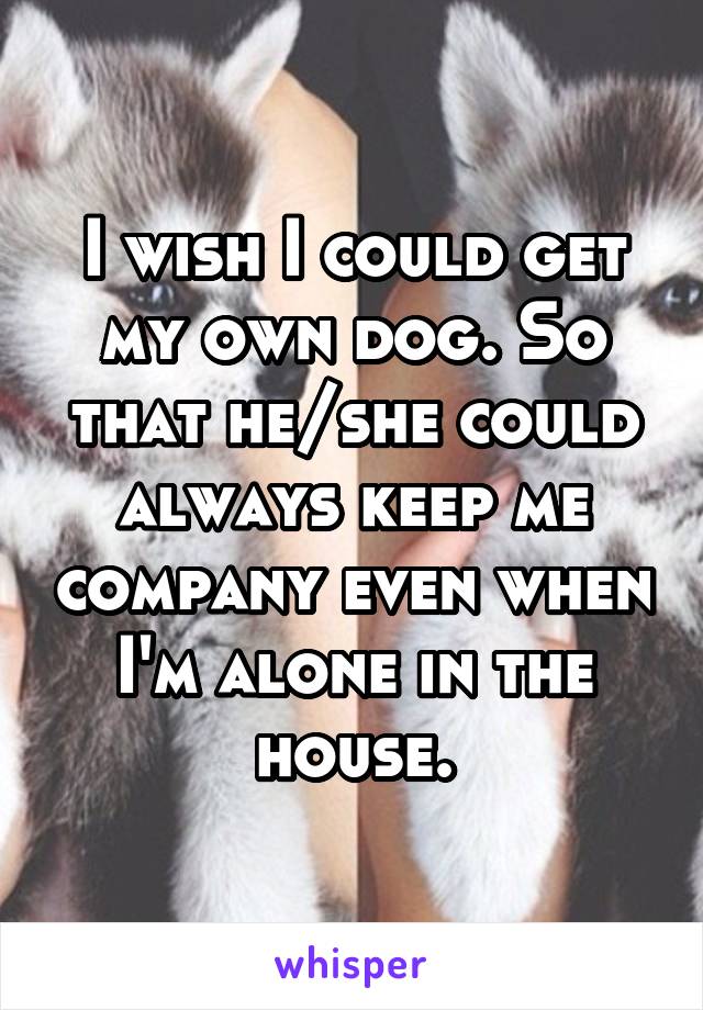 I wish I could get my own dog. So that he/she could always keep me company even when I'm alone in the house.