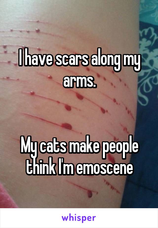 I have scars along my arms.


My cats make people think I'm emo\scene