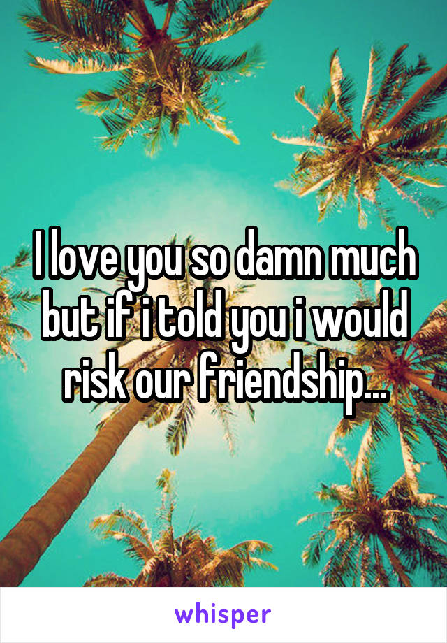 I love you so damn much but if i told you i would risk our friendship...