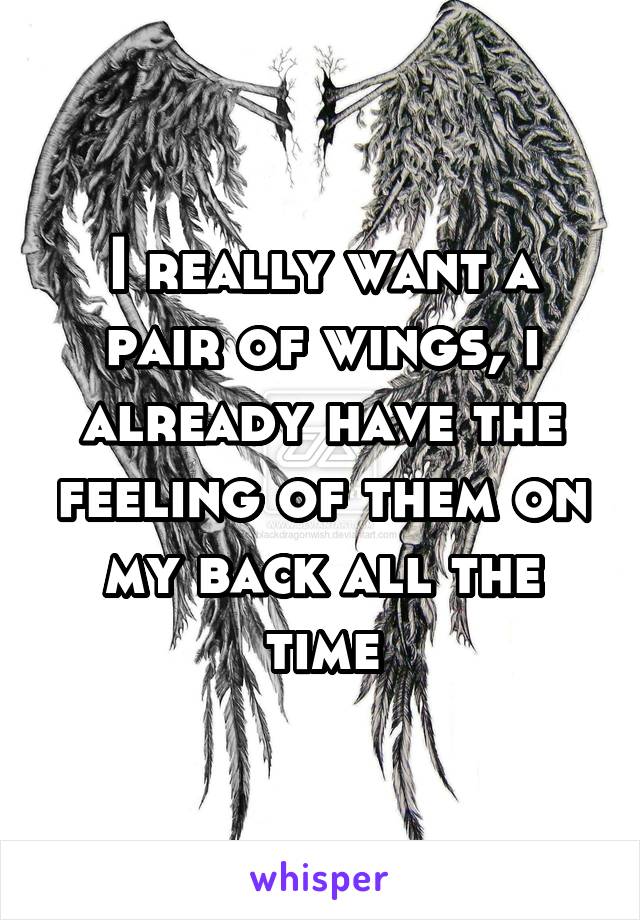 I really want a pair of wings, i already have the feeling of them on my back all the time