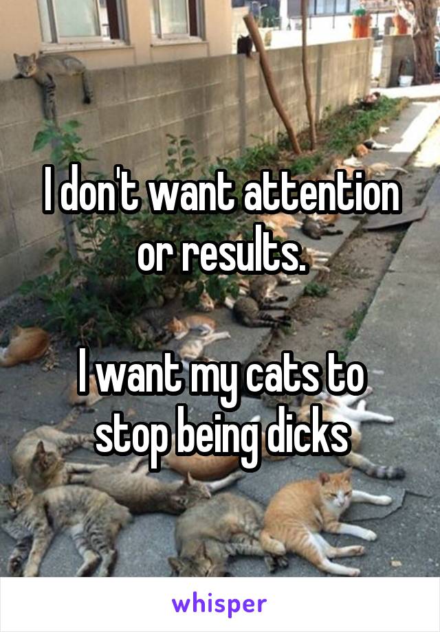 I don't want attention or results.

I want my cats to stop being dicks