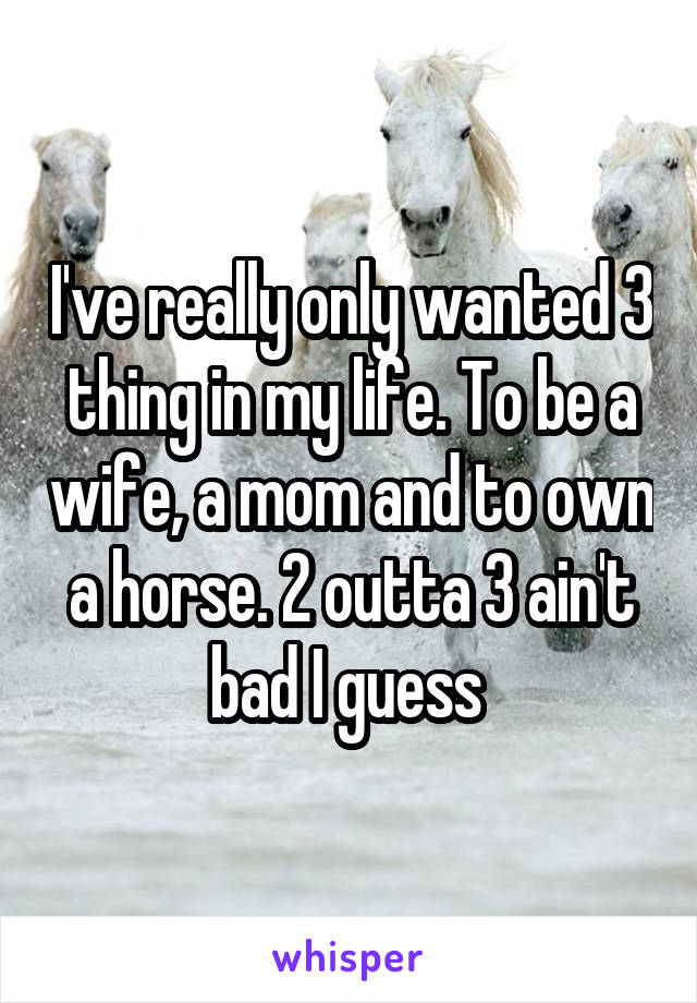 I've really only wanted 3 thing in my life. To be a wife, a mom and to own a horse. 2 outta 3 ain't bad I guess 