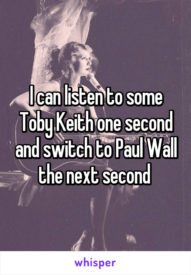 I can listen to some Toby Keith one second and switch to Paul Wall the next second 