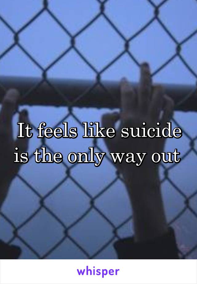 It feels like suicide is the only way out 