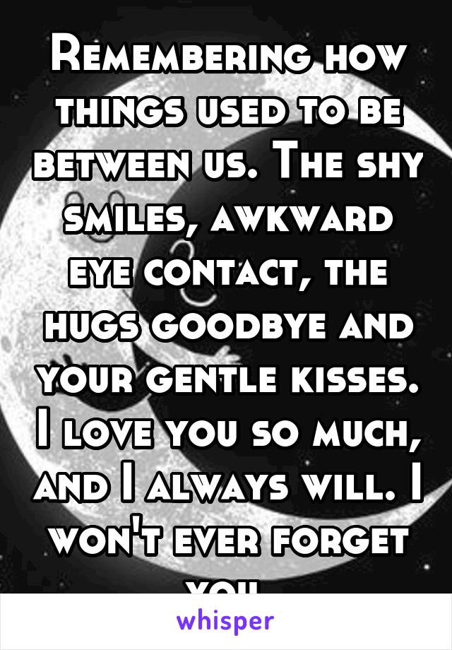 Remembering how things used to be between us. The shy smiles, awkward eye contact, the hugs goodbye and your gentle kisses. I love you so much, and I always will. I won't ever forget you.