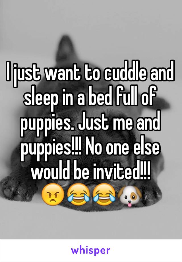 I just want to cuddle and sleep in a bed full of puppies. Just me and puppies!!! No one else would be invited!!!
😠😂😂🐶