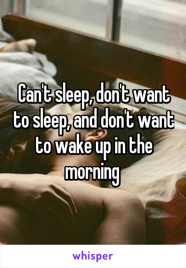 Can't sleep, don't want to sleep, and don't want to wake up in the morning 