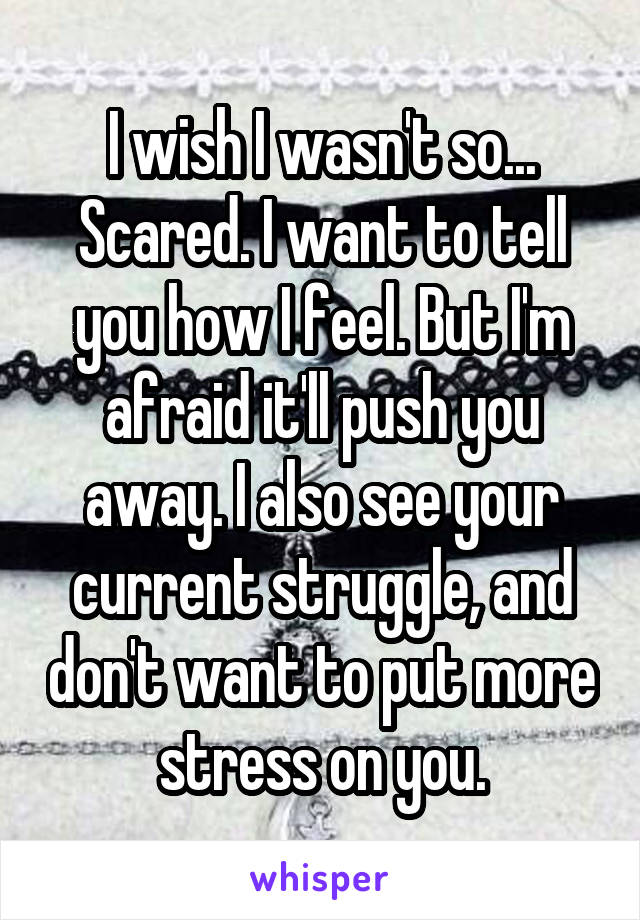 I wish I wasn't so... Scared. I want to tell you how I feel. But I'm afraid it'll push you away. I also see your current struggle, and don't want to put more stress on you.