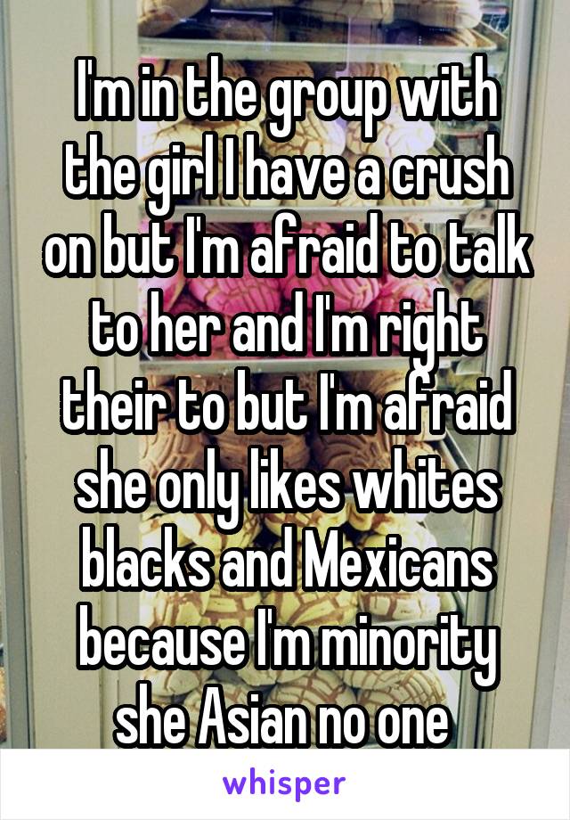 I'm in the group with the girl I have a crush on but I'm afraid to talk to her and I'm right their to but I'm afraid she only likes whites blacks and Mexicans because I'm minority she Asian no one 