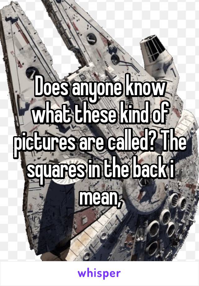 Does anyone know what these kind of pictures are called? The squares in the back i mean,