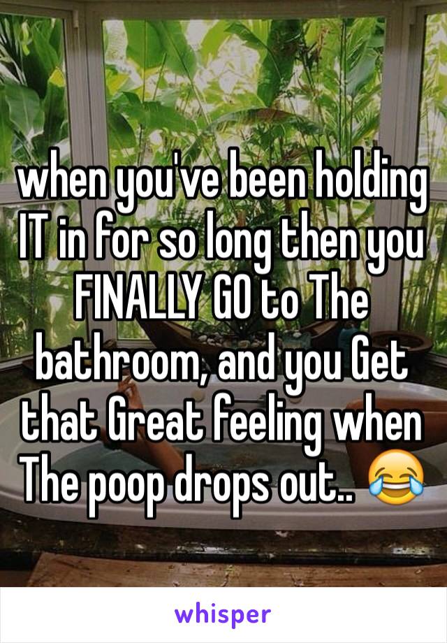 when you've been holding IT in for so long then you FINALLY GO to The bathroom, and you Get that Great feeling when The poop drops out.. 😂