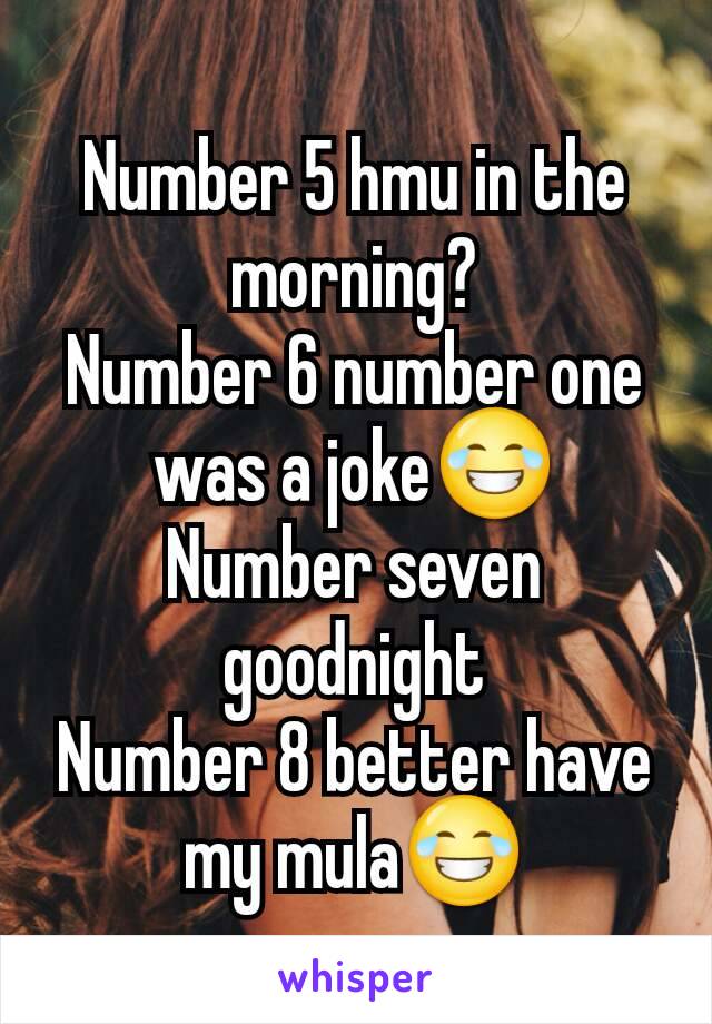 Number 5 hmu in the morning?
Number 6 number one was a joke😂
Number seven goodnight
Number 8 better have my mula😂