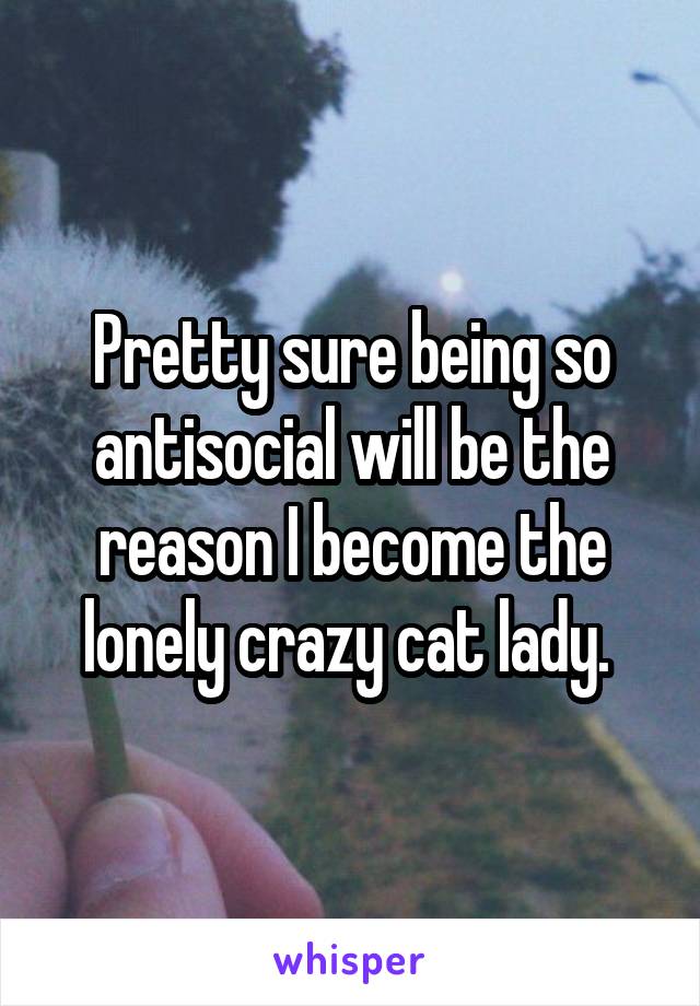 Pretty sure being so antisocial will be the reason I become the lonely crazy cat lady. 