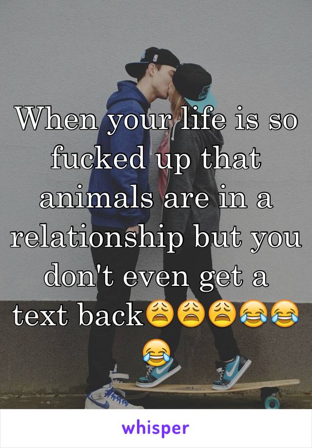 When your life is so fucked up that animals are in a relationship but you don't even get a  text back😩😩😩😂😂😂