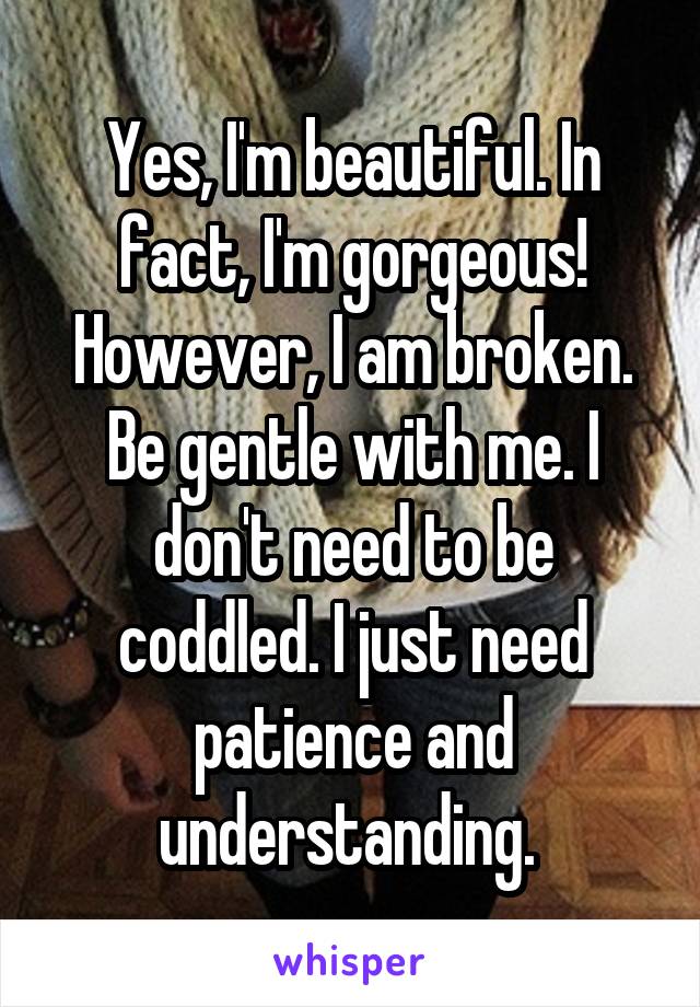 Yes, I'm beautiful. In fact, I'm gorgeous! However, I am broken. Be gentle with me. I don't need to be coddled. I just need patience and understanding. 