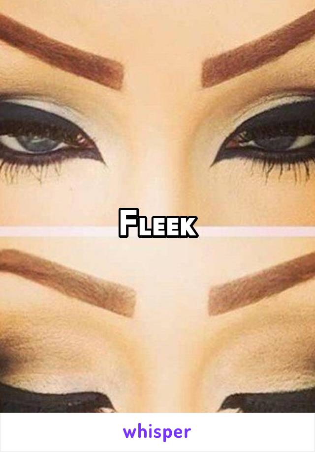 Fleek