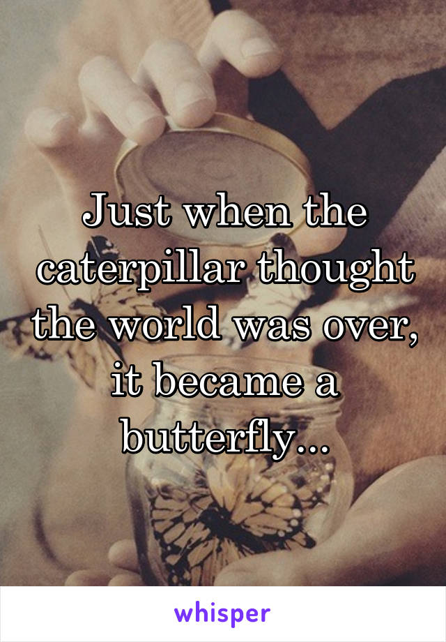 Just when the caterpillar thought the world was over, it became a butterfly...