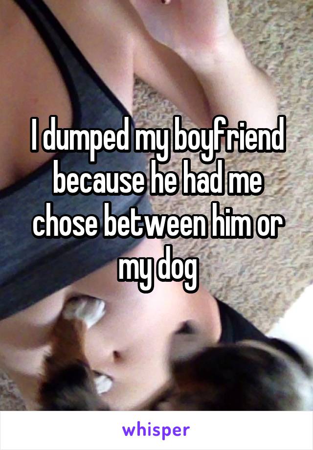 I dumped my boyfriend because he had me chose between him or my dog 