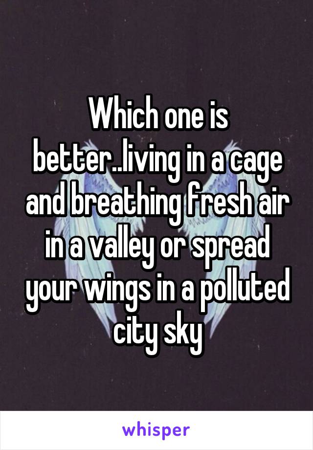 Which one is better..living in a cage and breathing fresh air in a valley or spread your wings in a polluted city sky