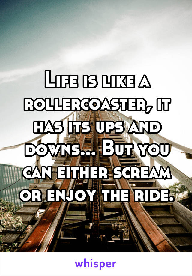 Life is like a rollercoaster, it has its ups and downs... But you can either scream or enjoy the ride.