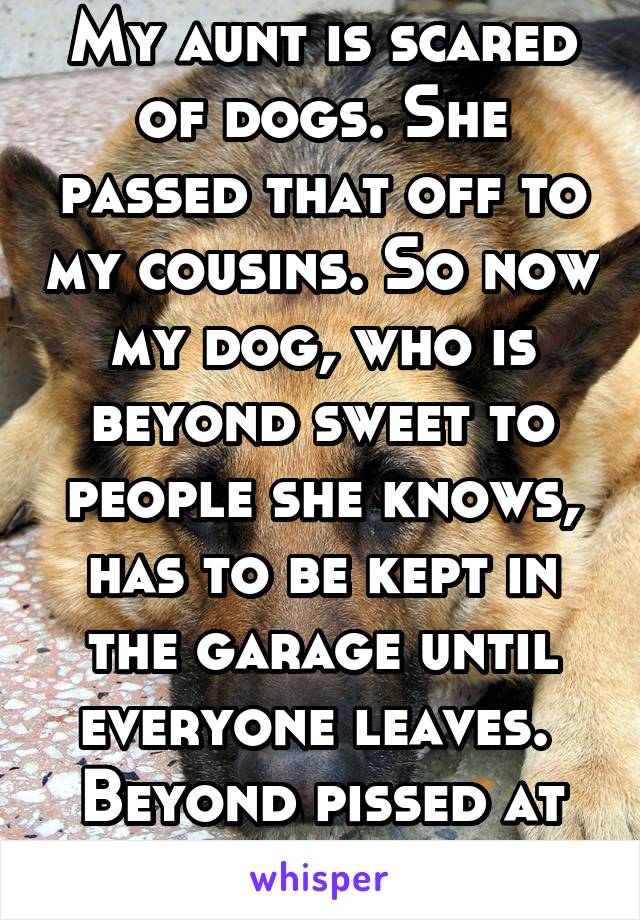 My aunt is scared of dogs. She passed that off to my cousins. So now my dog, who is beyond sweet to people she knows, has to be kept in the garage until everyone leaves. 
Beyond pissed at them