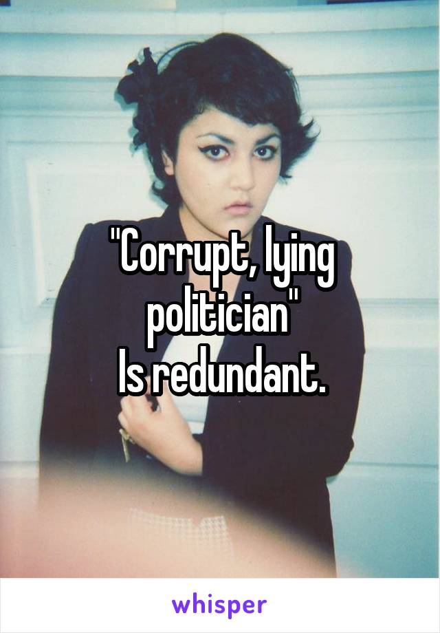 "Corrupt, lying politician"
Is redundant.