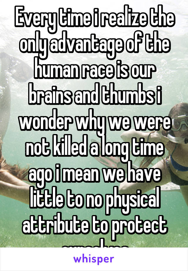 Every time i realize the only advantage of the human race is our brains and thumbs i wonder why we were not killed a long time ago i mean we have little to no physical attribute to protect ourselves