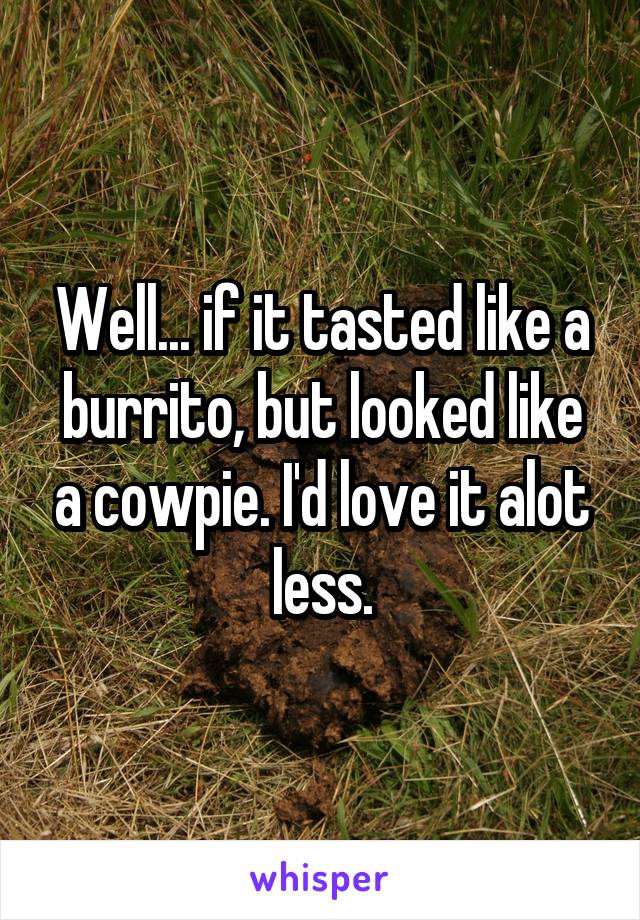 Well... if it tasted like a burrito, but looked like a cowpie. I'd love it alot less.