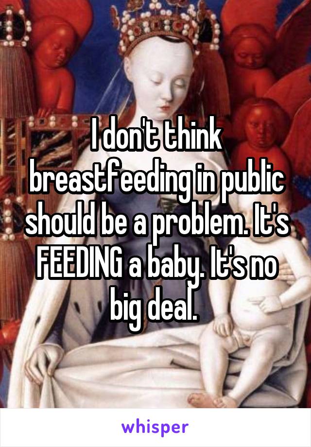 I don't think breastfeeding in public should be a problem. It's FEEDING a baby. It's no big deal. 