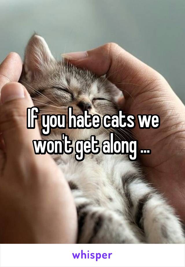 If you hate cats we won't get along ... 