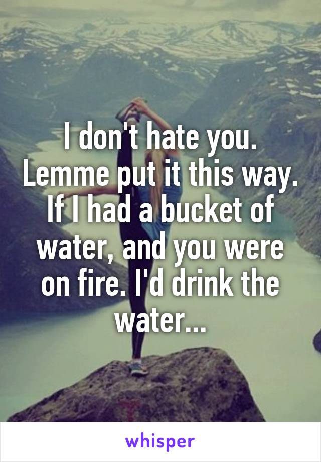 I don't hate you. Lemme put it this way. If I had a bucket of water, and you were on fire. I'd drink the water...