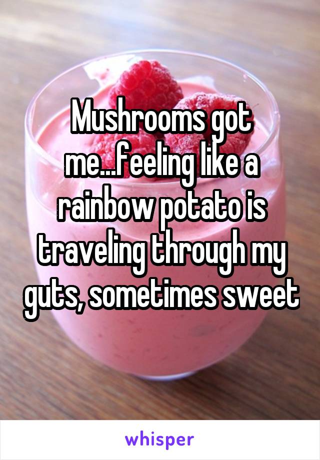 Mushrooms got me...feeling like a rainbow potato is traveling through my guts, sometimes sweet 