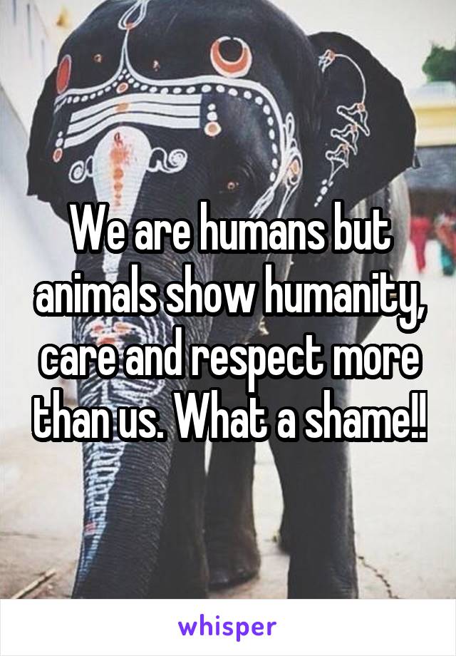 We are humans but animals show humanity, care and respect more than us. What a shame!!