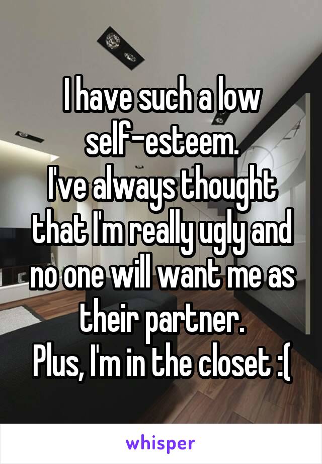 I have such a low self-esteem.
I've always thought that I'm really ugly and no one will want me as their partner.
Plus, I'm in the closet :(