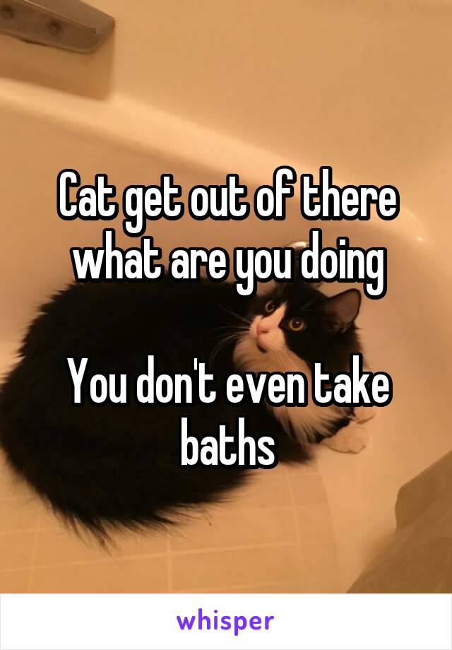 Cat get out of there what are you doing

You don't even take baths