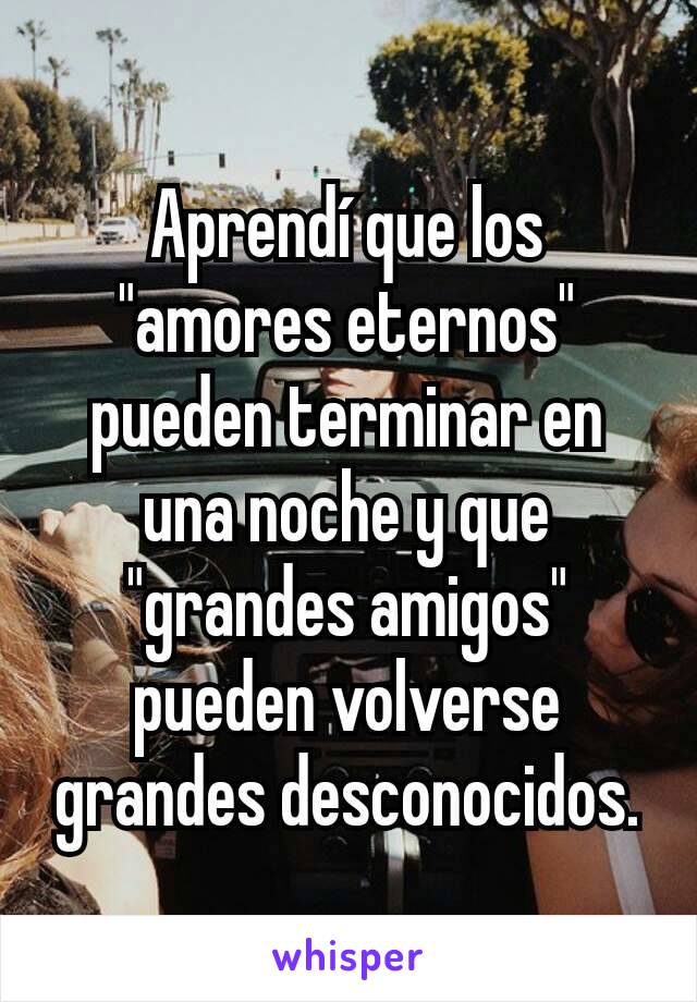 Aprendí que los "amores eternos" pueden terminar en una noche y que "grandes amigos" pueden volverse grandes desconocidos.