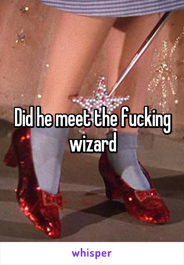 Did he meet the fucking wizard