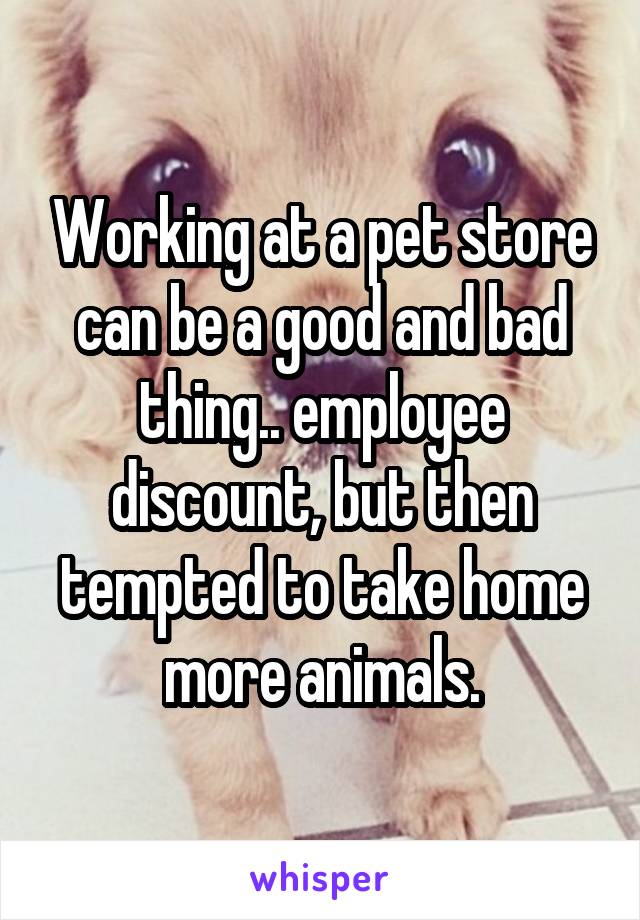 Working at a pet store can be a good and bad thing.. employee discount, but then tempted to take home more animals.