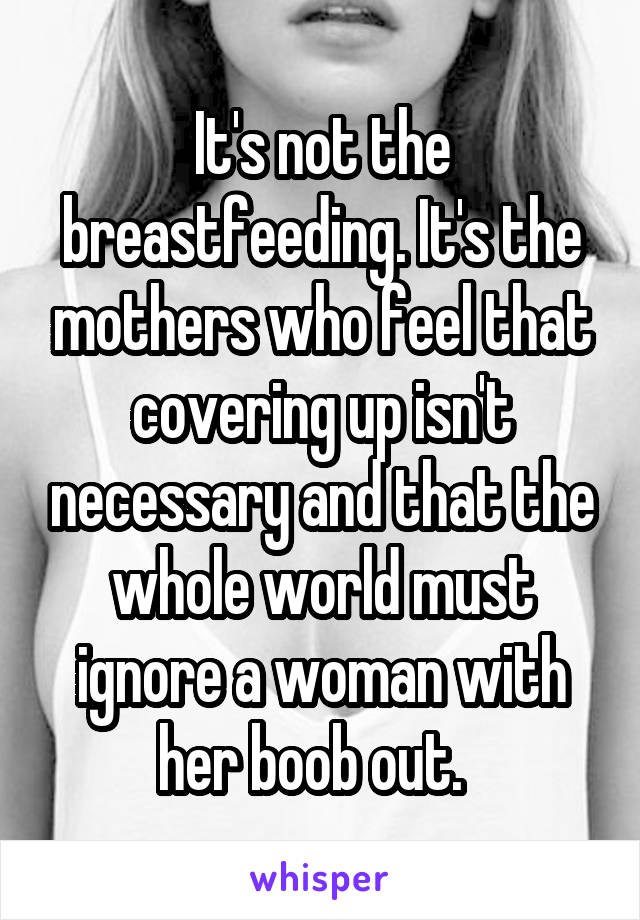 It's not the breastfeeding. It's the mothers who feel that covering up isn't necessary and that the whole world must ignore a woman with her boob out.  