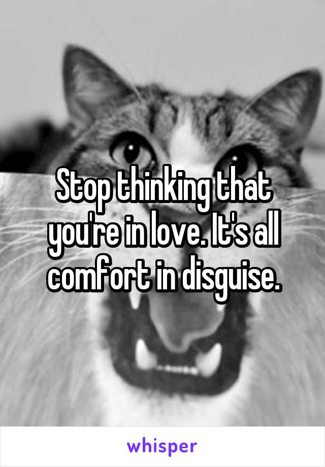 Stop thinking that you're in love. It's all comfort in disguise.