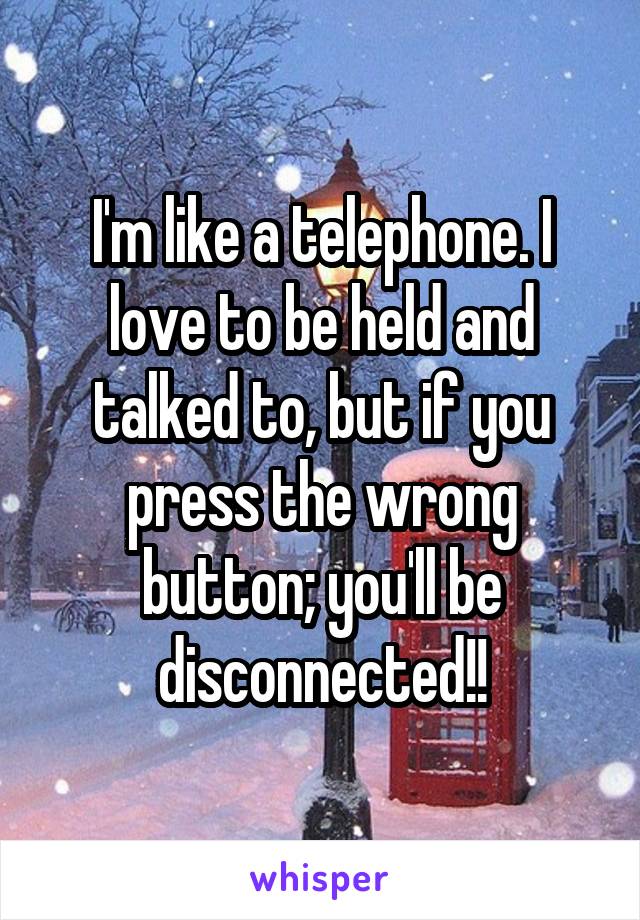 I'm like a telephone. I love to be held and talked to, but if you press the wrong button; you'll be disconnected!!