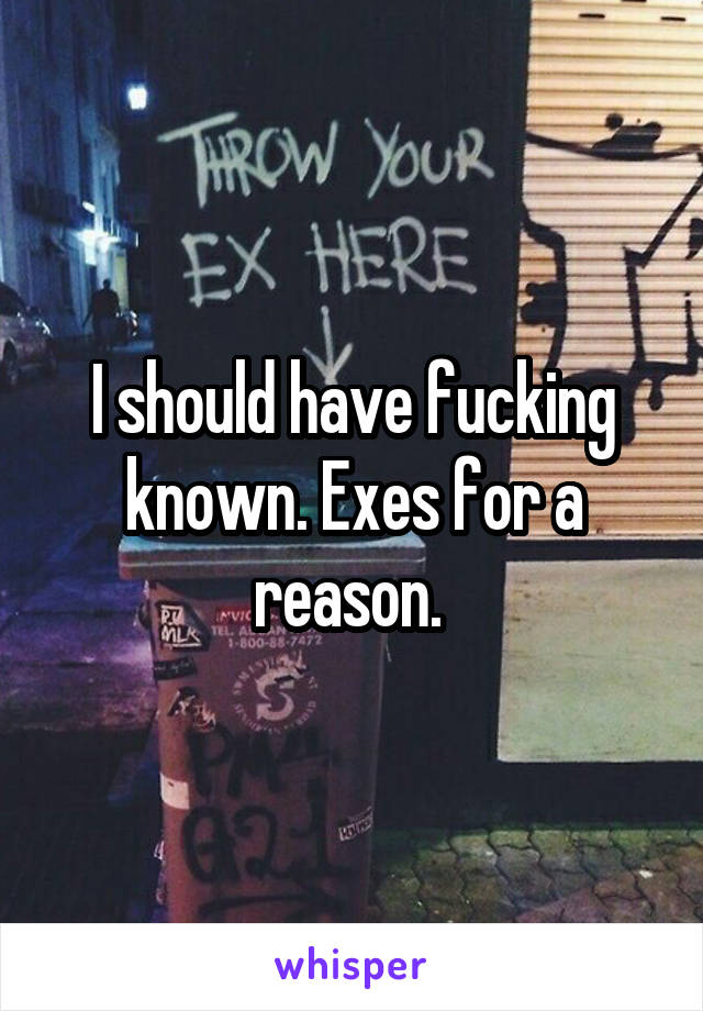 I should have fucking known. Exes for a reason. 