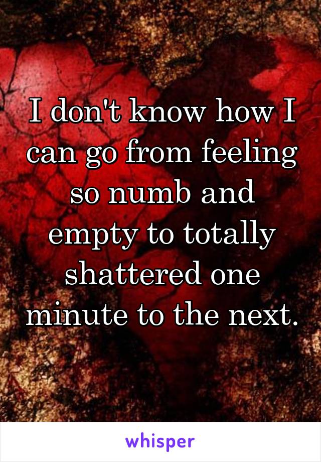 I don't know how I can go from feeling so numb and empty to totally shattered one minute to the next. 