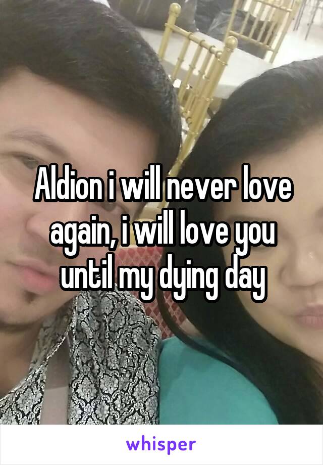 Aldion i will never love again, i will love you until my dying day