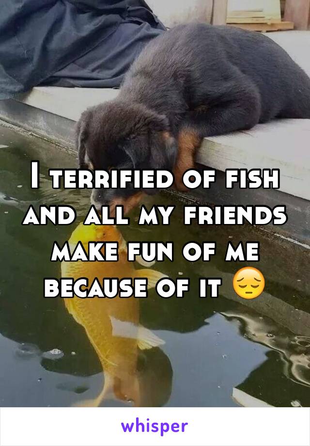 I terrified of fish and all my friends make fun of me because of it 😔